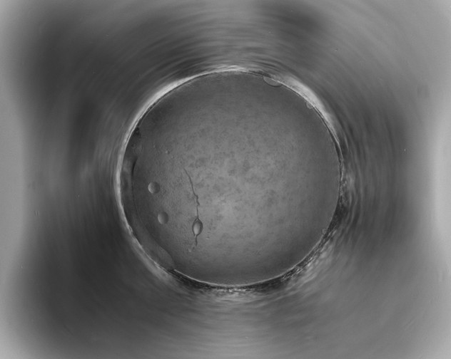 X0000093730811200710161116