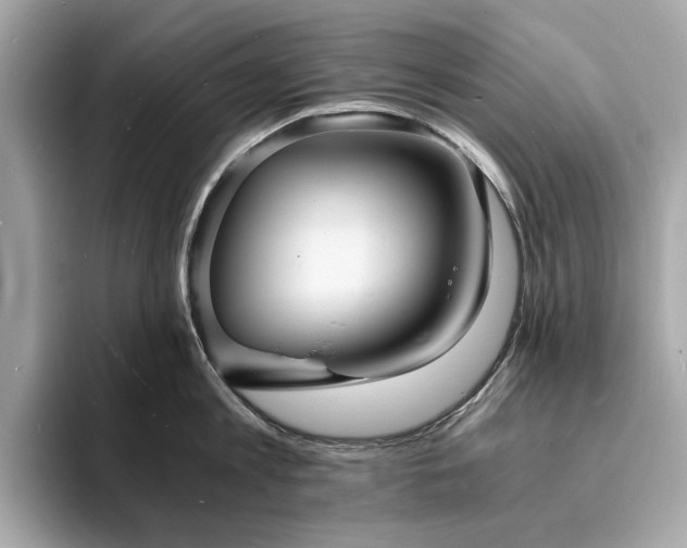 X0000093730813200710161116