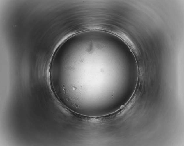 X0000093730814200710161116