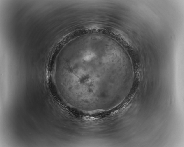 X0000093730821200710161115