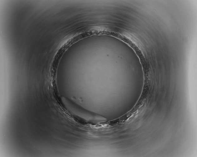 X0000093730823200710161115