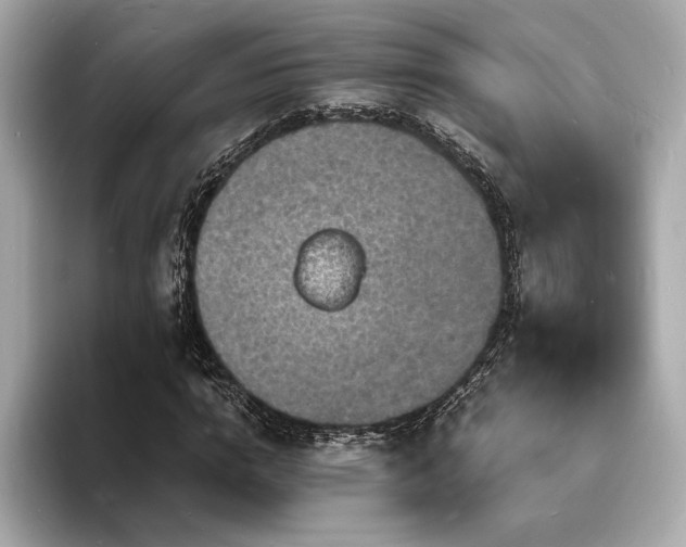 X0000093730824200710161115