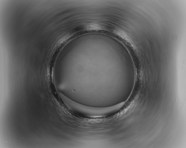 X0000093730825200710161115