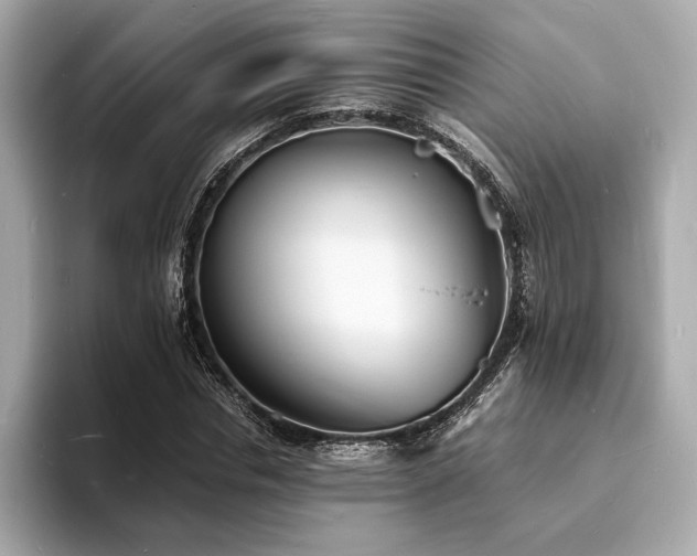 X0000093730826200710161115