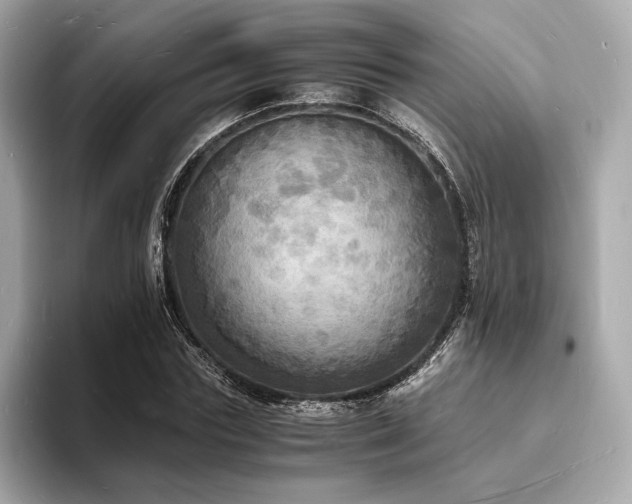 X0000093730827200710161115