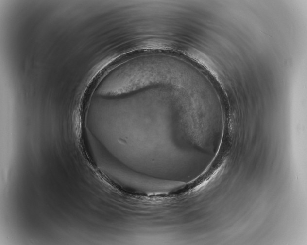 X0000093730829200710161115