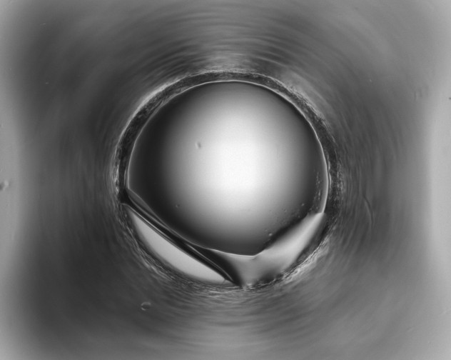 X0000093730830200710161115