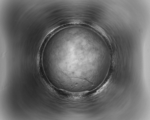 X0000093730831200710161115