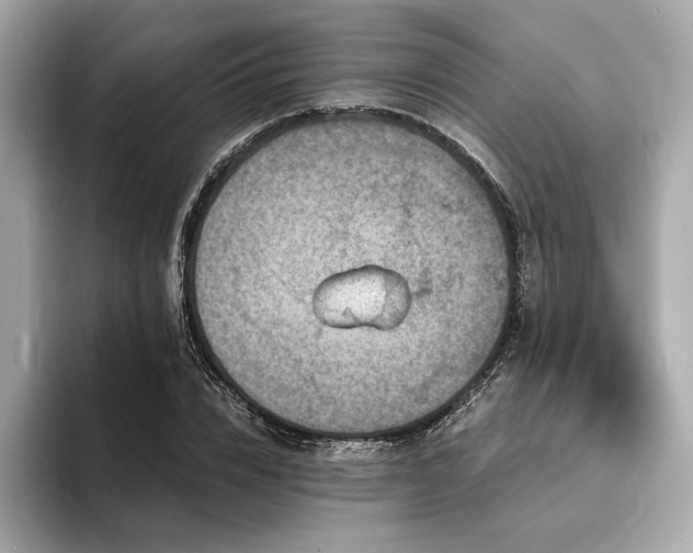 X0000093730832200710161115