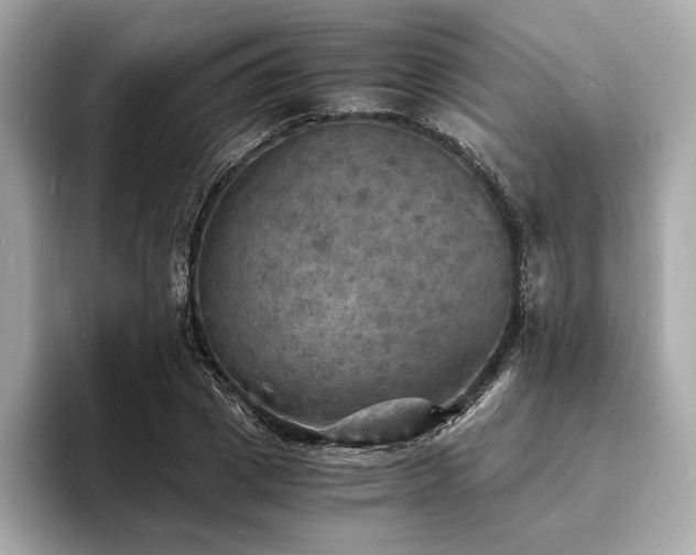 X0000093730833200710161115