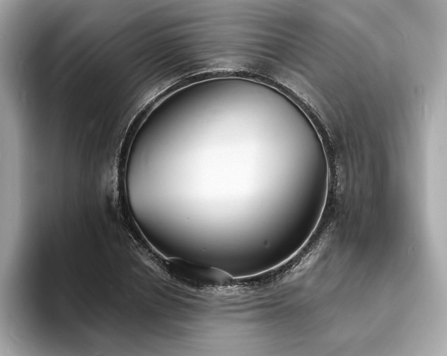 X0000093730834200710161115