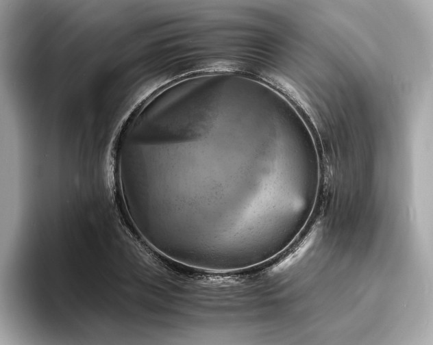 X0000093730835200710161115