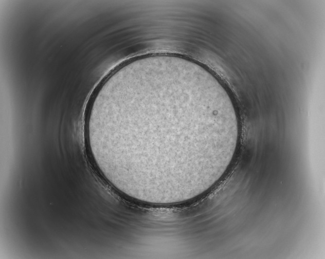 X0000093730836200710161115