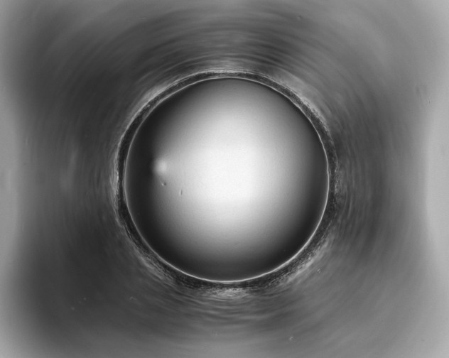 X0000093730837200710161115
