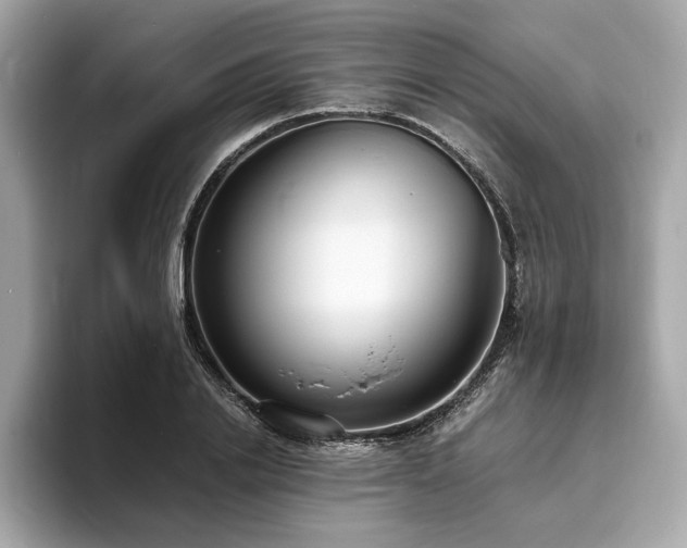 X0000093730838200710161115