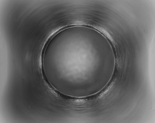 X0000093730839200710161115