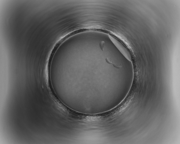 X0000093730840200710161115