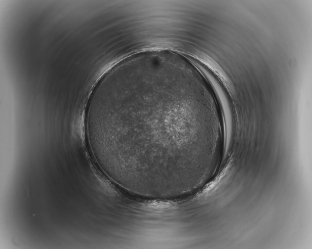 X0000093730842200710161115