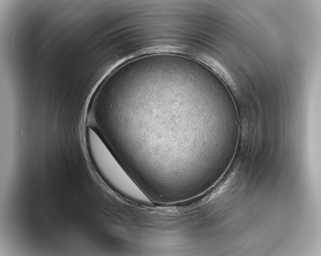 X0000093730844200710161115