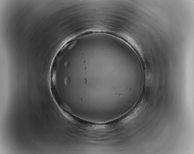 X0000093730845200710161115