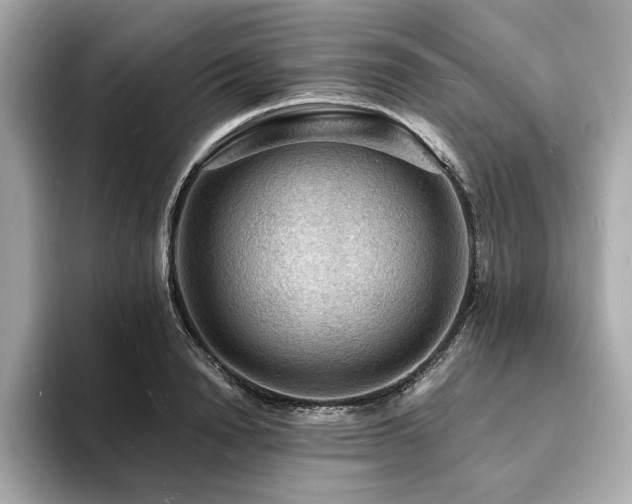 X0000093730846200710161115