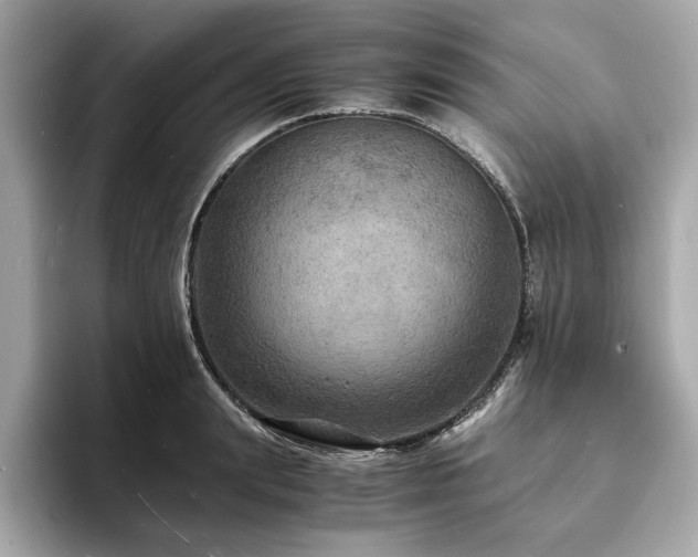 X0000093730847200710161115
