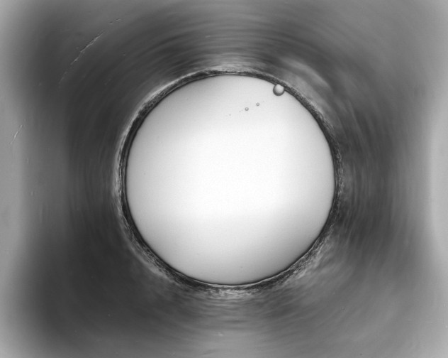 X0000093730848200710161115