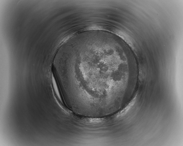X0000093730849200710161115