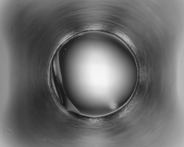 X0000093730850200710161115