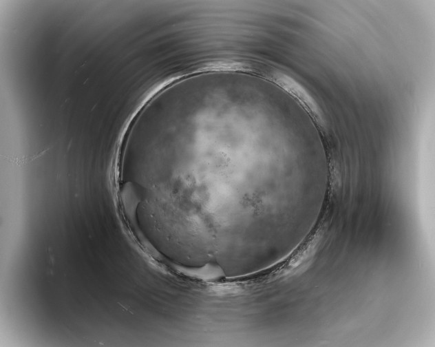 X0000093730852200710161115