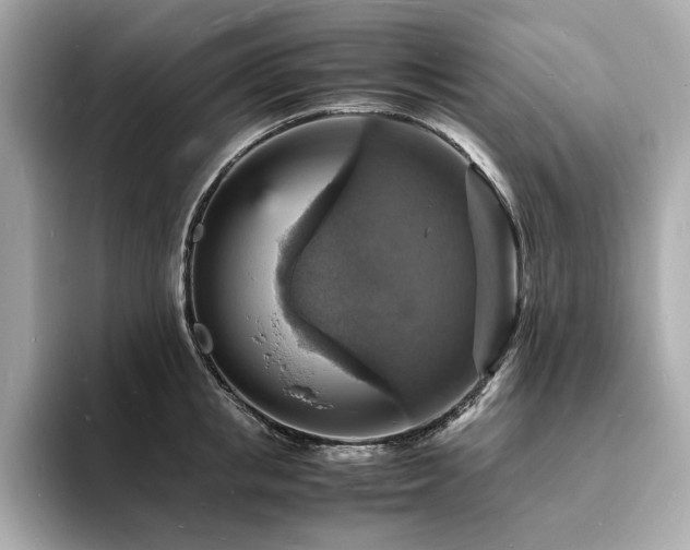 X0000093730853200710161115