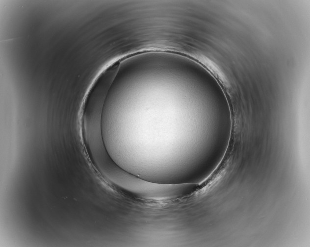 X0000093730854200710161115