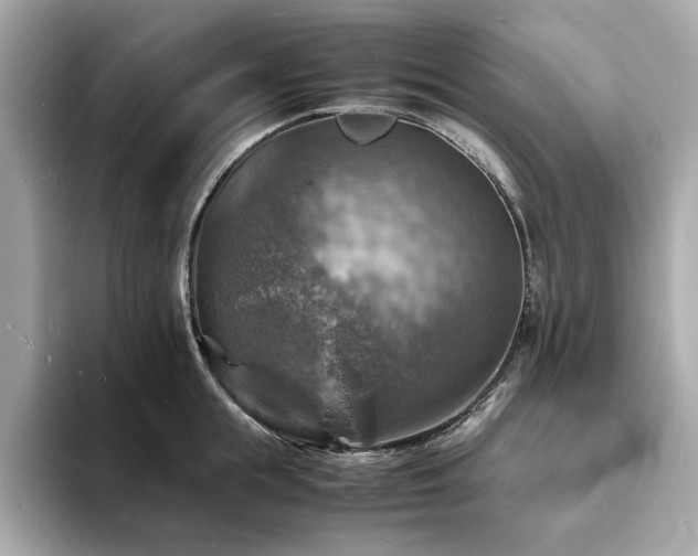 X0000093730855200710161115