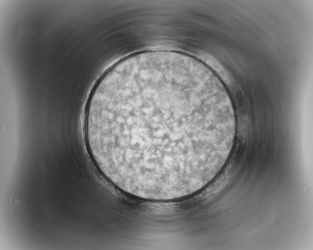 X0000093730856200710161115