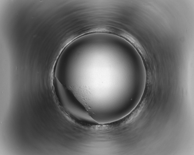 X0000093730858200710161115