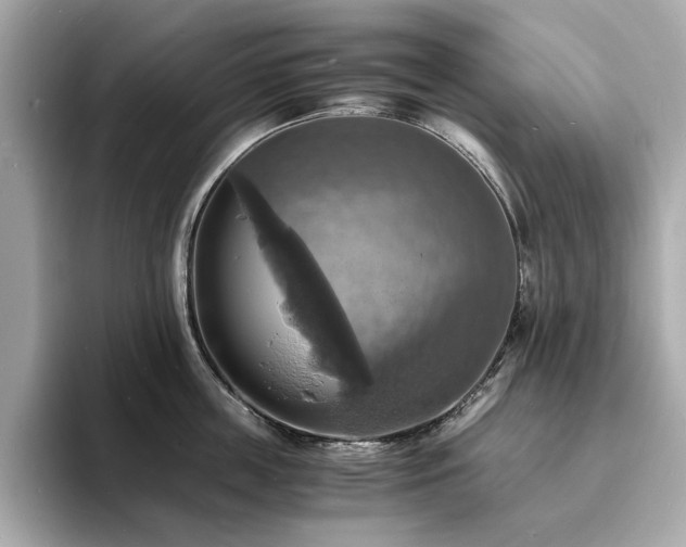 X0000093730859200710161115