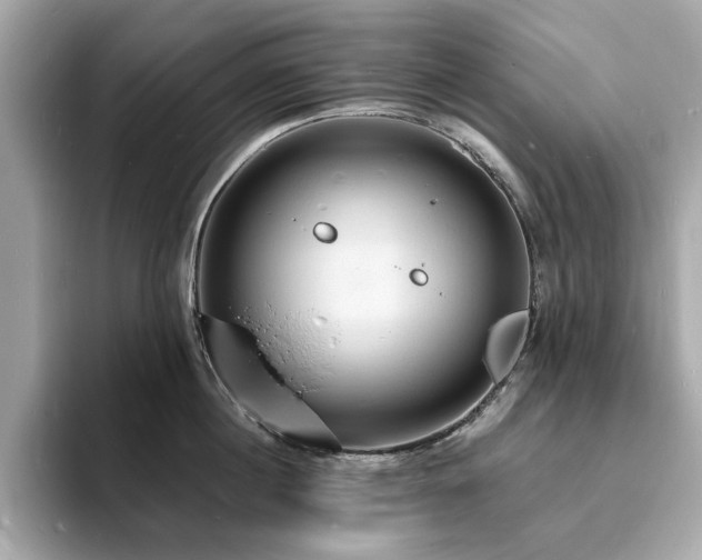 X0000093730860200710161115