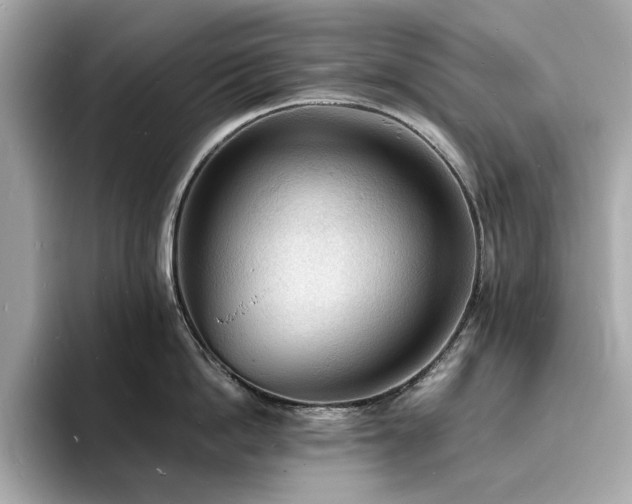X0000093730862200710161115