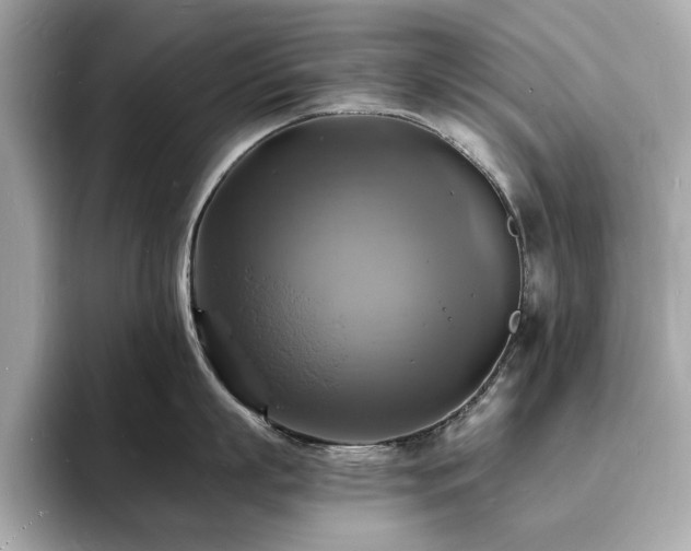 X0000093730863200710161116