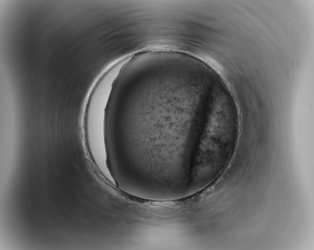 X0000093730864200710161116