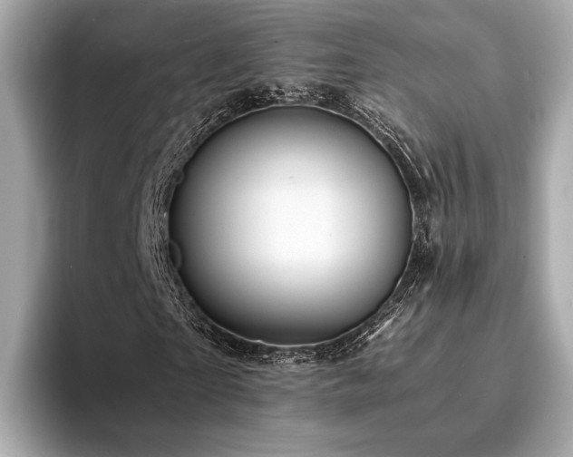 X0000093730865200710161115