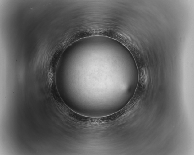 X0000093730866200710161115