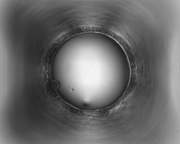 X0000093730870200710161115