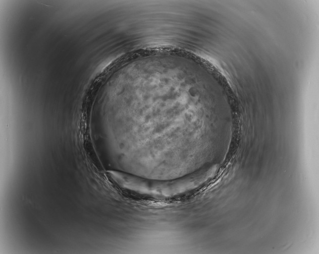 X0000093730871200710161115