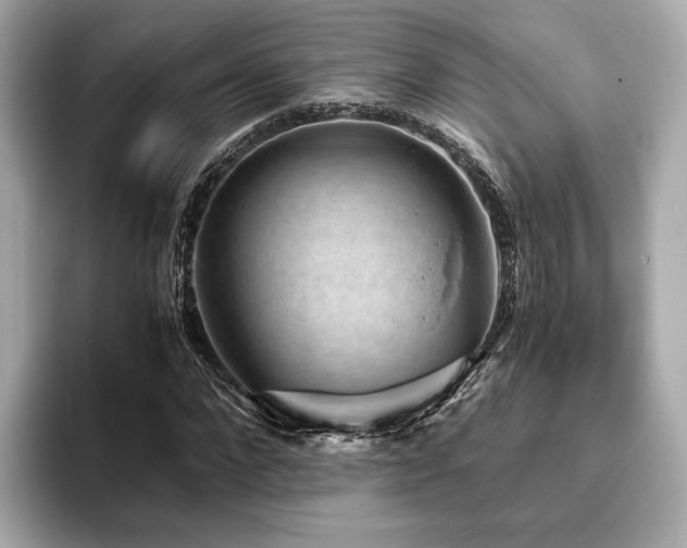 X0000093730872200710161115