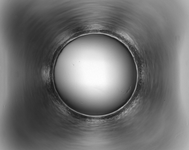 X0000093730873200710161115