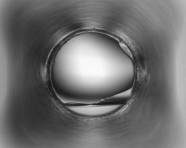 X0000093730876200710161115