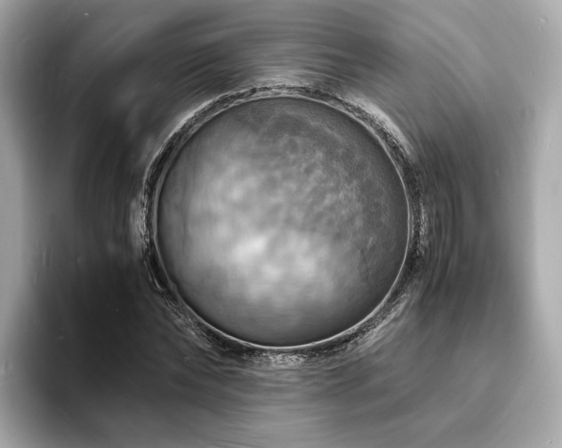 X0000093730878200710161115