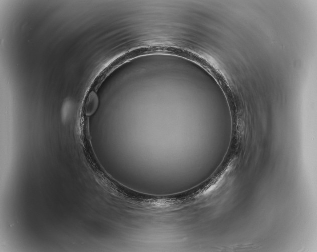 X0000093730879200710161115