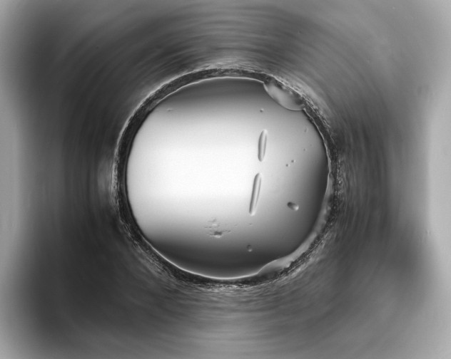 X0000093730880200710161115